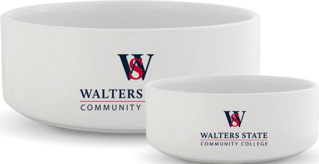 Walter State Ceramic Dog Bowl Primary - ONLINE ONLY
