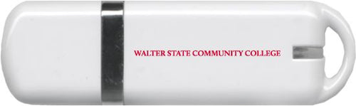 Walter State USB Pen Drive 4G Official Artwork - ONLINE ONLY